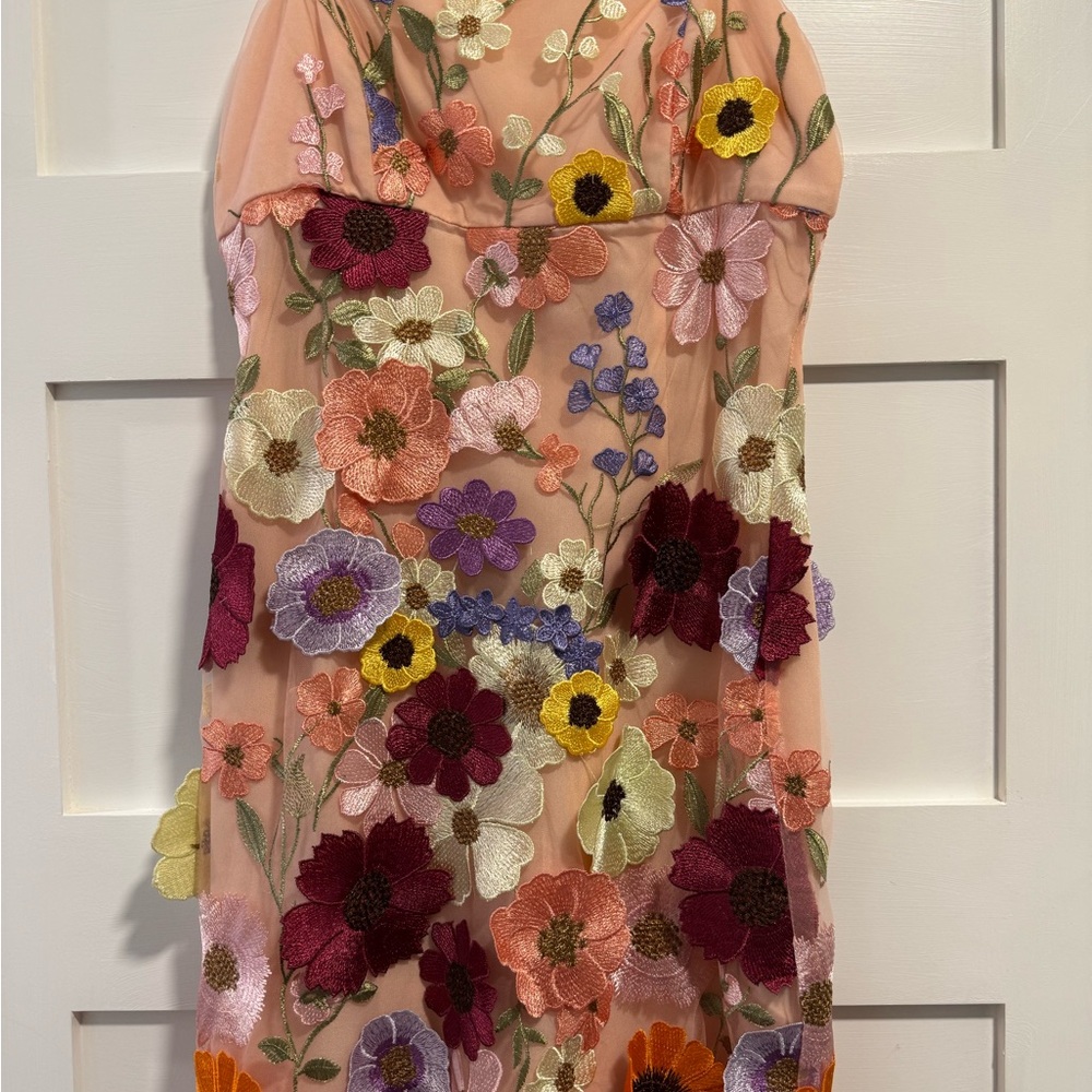 Taylor Swift “Like” Storia Multicolor Floral Embroidered Garment Dress S